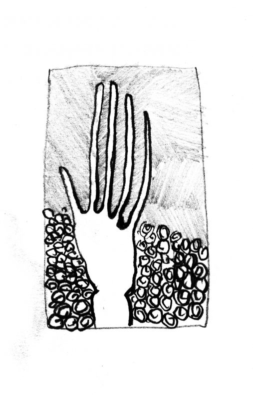 Drawings